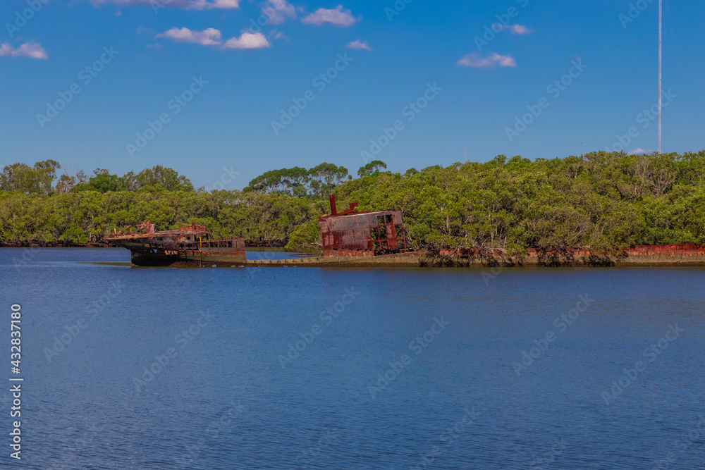 Fototapeta premium rusted wreckage of a ship in a mangrove area on Parramatta river NSW Australia