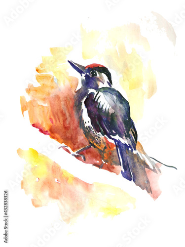 Hand-painted illustration; sketch; image of a bird isolated on a white background