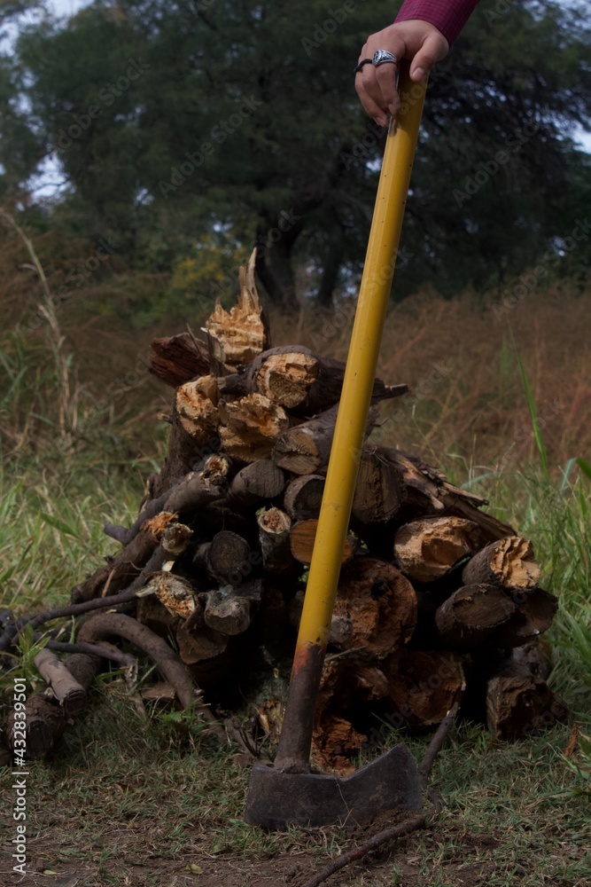 Fototapeta premium Hacha amarilla y madera 