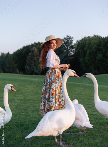 Girl with a swan on the grass.Wild swan walking in the parkPortrait happy woman enjoying sunset stay on the green grass . Fresh air, Travel, Summer, Fall, Holidays photo