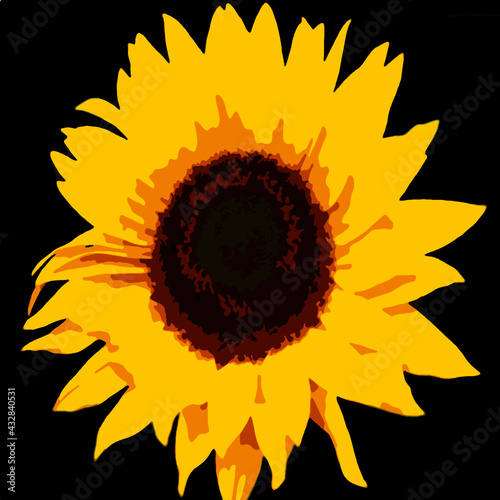 Sonnenblume Vektor
