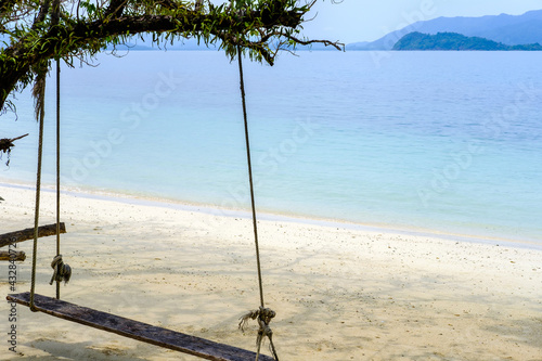 Old swing hanging on a tree on sandy beach  blue sea and sky background.