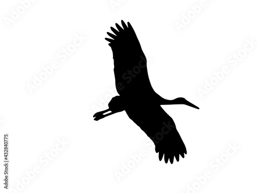 Vettoriale bianco e nero di una cicogna in volo con ali spiegate 