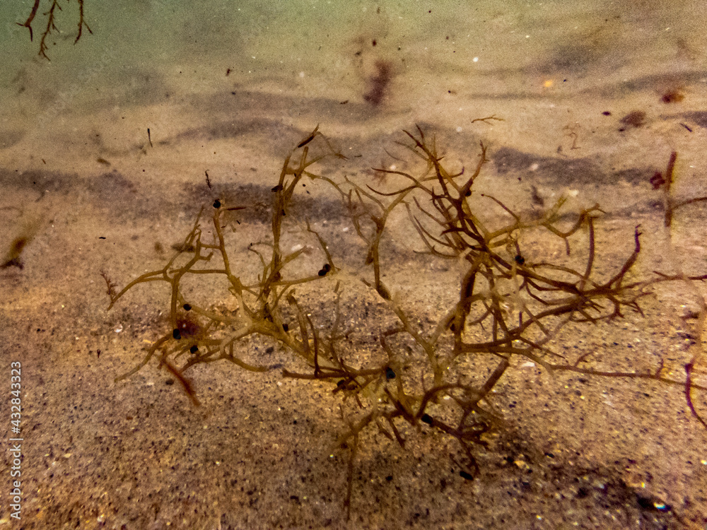 Underwater Underwater