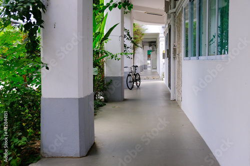 Long empty common corridor of old public housing estate in Tiong Bahru. Plants line the side. Selective focus.