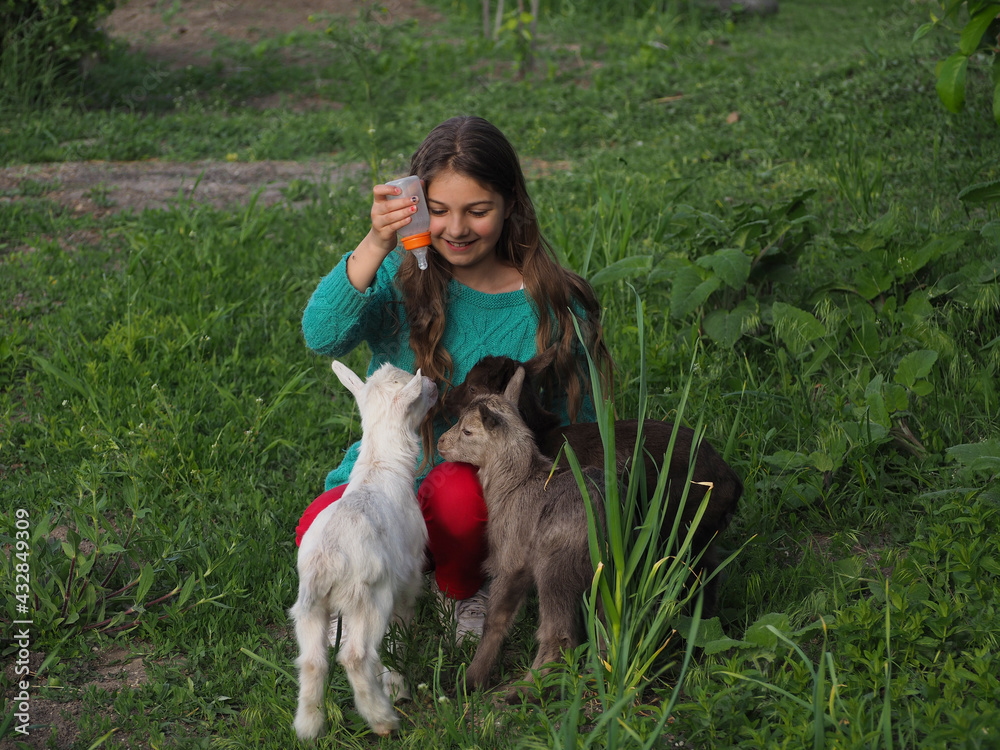 Cute smiling girl with three little goats in the garden. Colorful goats snuggle up to a teenage girl who is holding a feeding bottle. Green grass background. Cute smiling girl with three little goats in the garden. Colorful goats snuggle up to a teenage girl who is holding a feeding bottle. Green grass background.