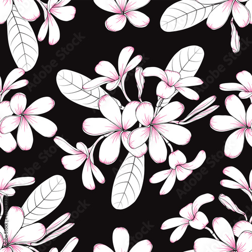 Seamless pattern floral with Frangipani flowers abstract background.Vector illustration hand drawn line art.fabric pattern print design