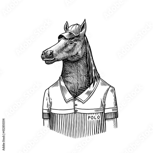 Horse character in coat. Dobbin polo player. Fashionable animal, vitorian gentleman in a jacket. Hand drawn Engraved old monochrome sketch. Vector illustration for t-shirt, tattoo or badge or print