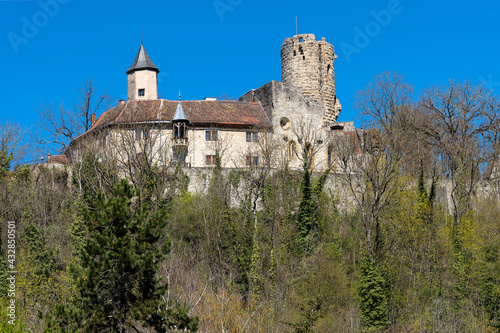 Burg Krautheim photo
