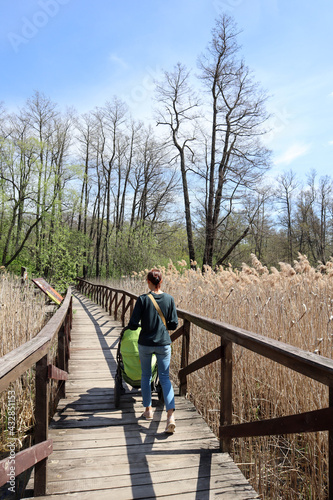 woman with the green stroller walking on the wooden path through the forest in national park © Sergei Timofeev