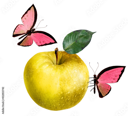 Color apple with butterfly on white background