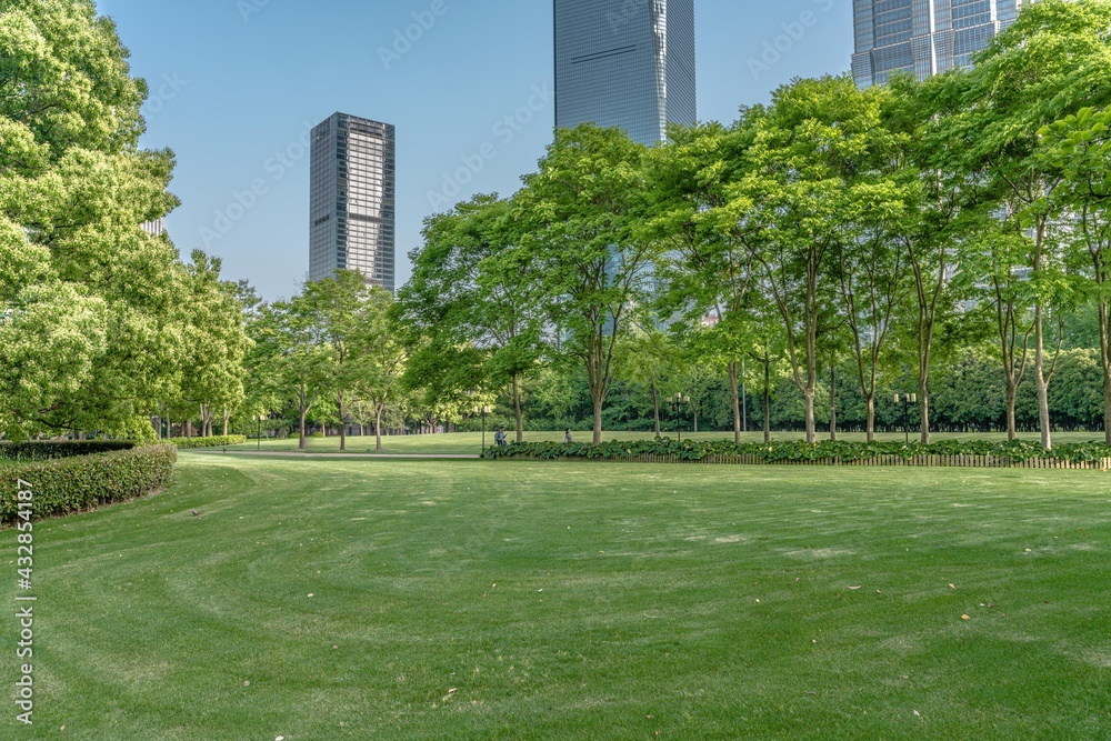 Lujiazui central park, green grass and modern skycrapers,  for background.
