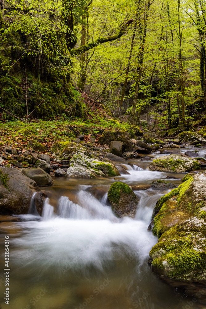 Fototapeta premium Zeleni vir stream with the rapids in the spring