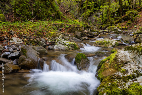 Zeleni vir stream with the rapids in the spring