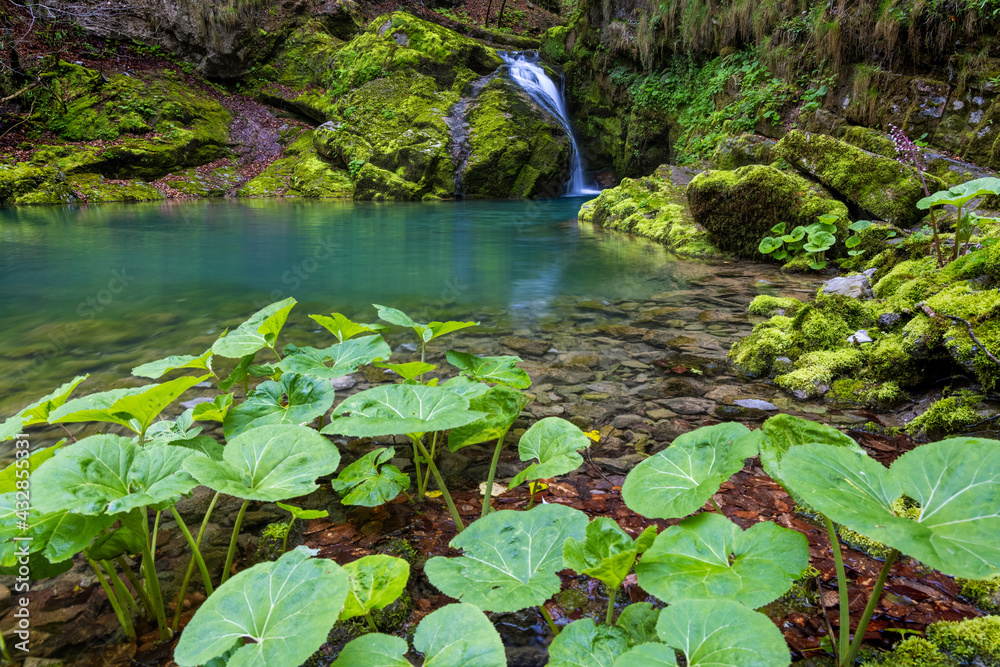 Lush waterfall on the rock covered by the moss and ferns, Zeleni vir, mountains of Croatia Lush waterfall on the rock covered by the moss and ferns, Zeleni vir, mountains of Croatia
