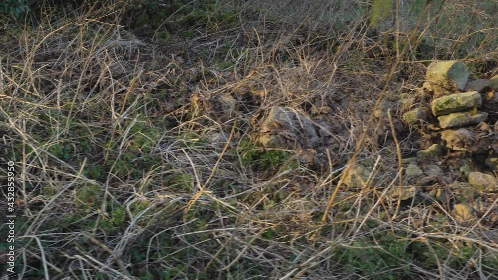 Tracking Shot Revealing Broken Stone Wall Tracking Shot Revealing Broken Stone Wall