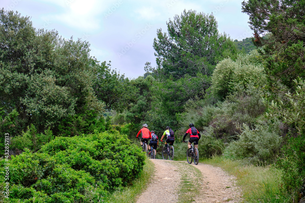 Group of mountain bikers on cycling trail in summer. Mountain biking in the scenic autumn forest. Four men on the uphill route.