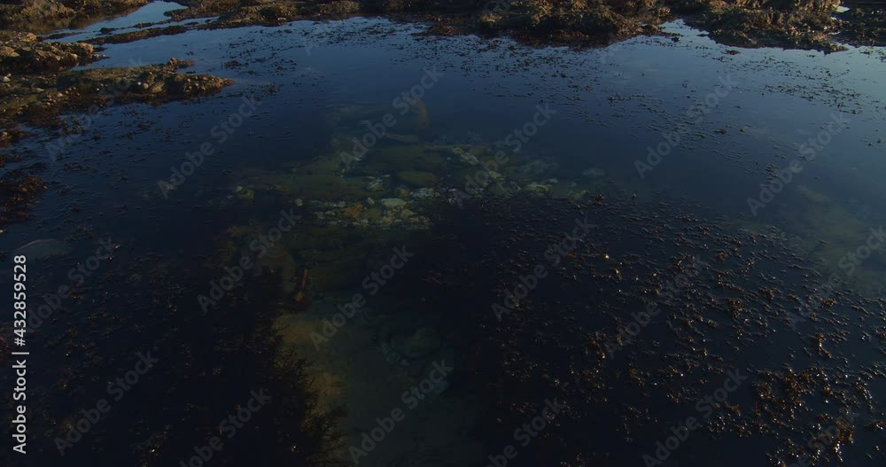 Water lies still in pool along rocky shoreline, slow pan Water lies still in pool along rocky shoreline, slow pan