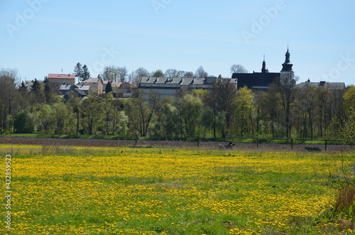 Kurozwęki , w Kurozwękach , Polska Kurozwęki , Polska , Kurozwęki wiosną