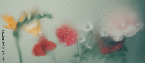 Mixed bouquet of different flowers with water drops on bright foggy background