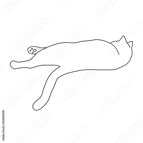 猫の線画全身イラスト　くつろぐ猫