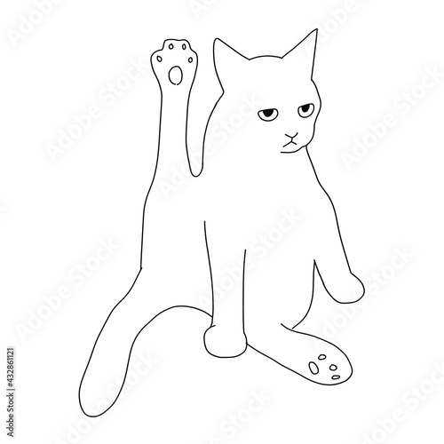 猫の全身イラスト　ヨガポーズの猫