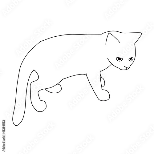 猫の全身イラスト　立っている子猫