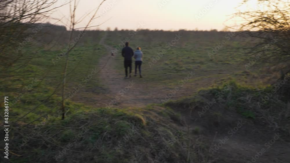 Panning Shot of Dog Walkers In Field at Sunset Panning Shot of Dog Walkers In Field at Sunset