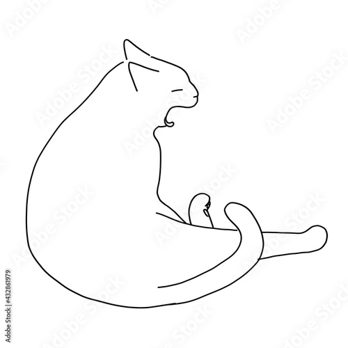 猫の全身ドローイング　あくびしている猫
