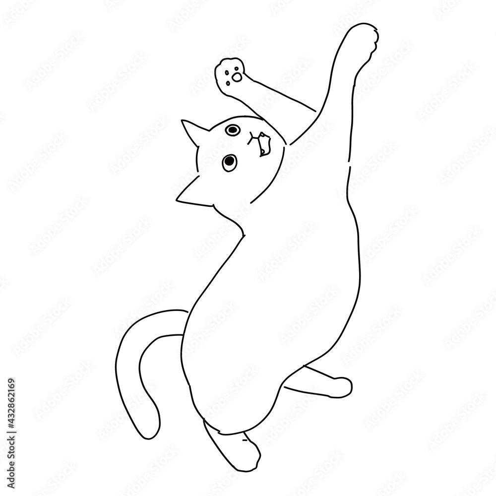猫の全身ドローイング じゃれている猫 猫の全身ドローイング じゃれている猫