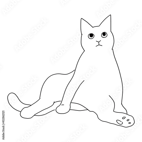 猫の全身ドローイング　座っている猫