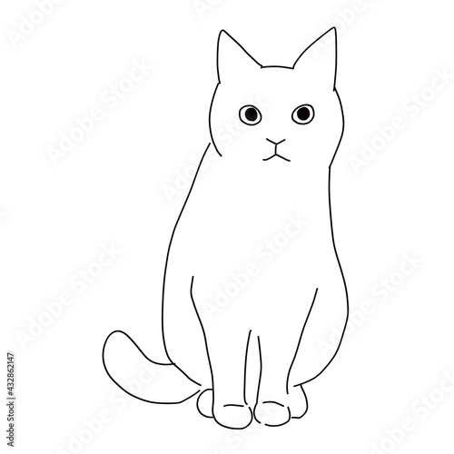 猫の全身ドローイング　お座りしている猫