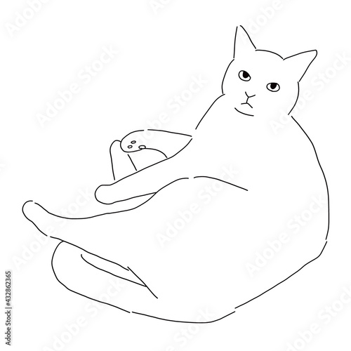 猫の全身イラスト　寝転がる猫