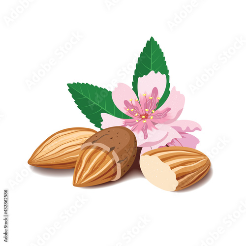 composition with almonds on a white background.