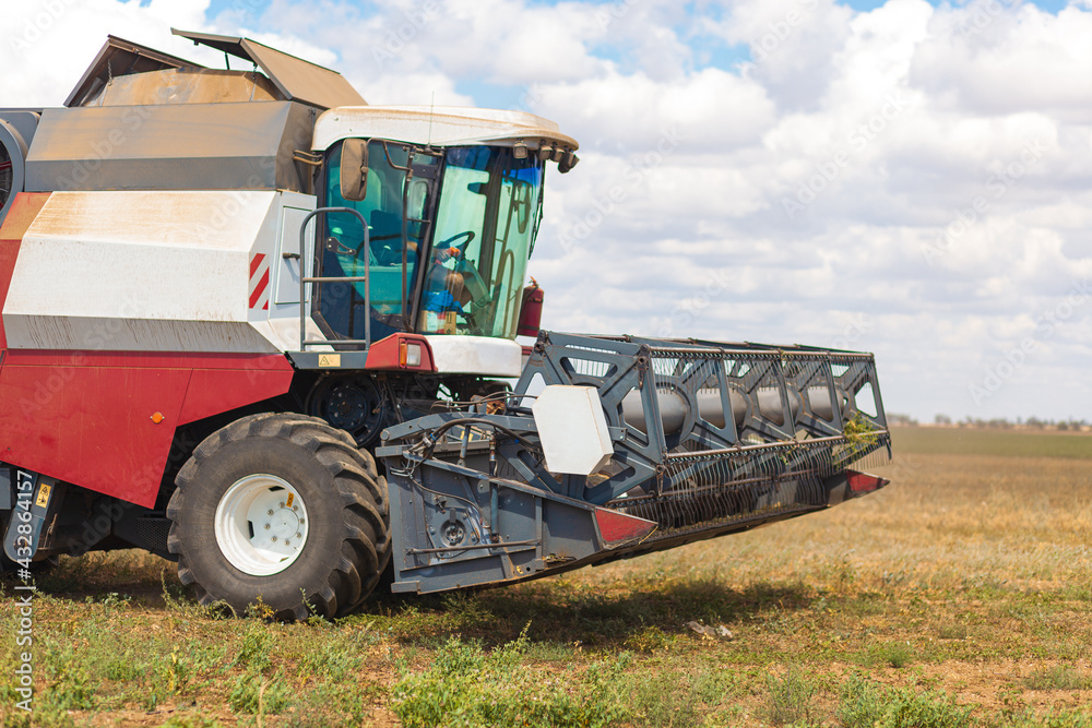 Fototapeta premium A large combine works in a wheat field