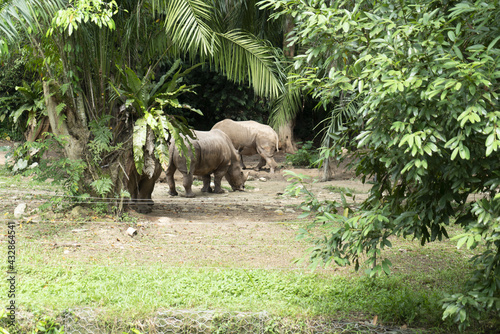 Langkawi - Kuala Lampur - Malaisie  photo