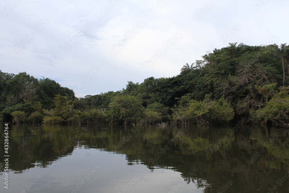 Passeio de canoa, Igapó, Floresta Nacional do Tapajós.