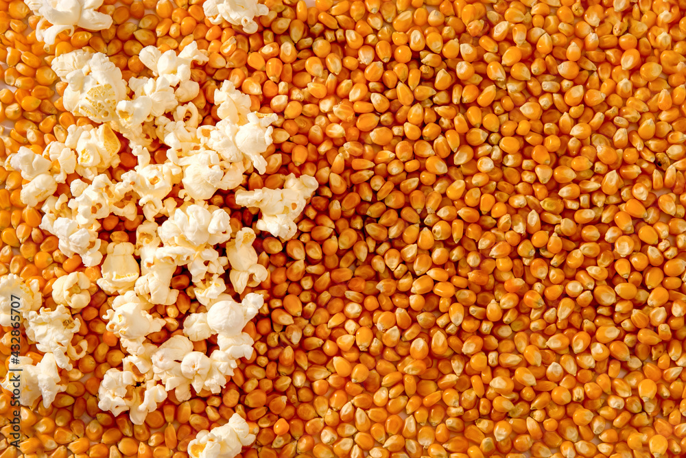 Background texture of corn kernels with some popcorn. Background texture of corn kernels with some popcorn.