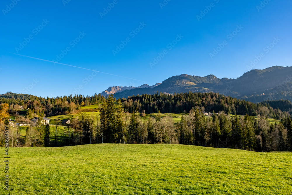 Obraz premium Meadow landscape with mountains
