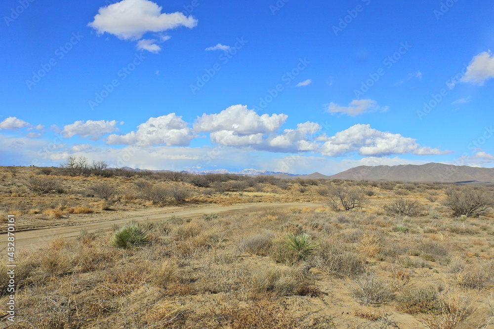 The beautiful scenery of the desert landscape in Cochise County, southeastern, Arizona.