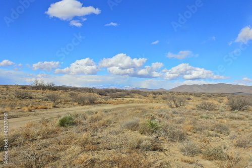 The beautiful scenery of the desert landscape in Cochise County  southeastern  Arizona.