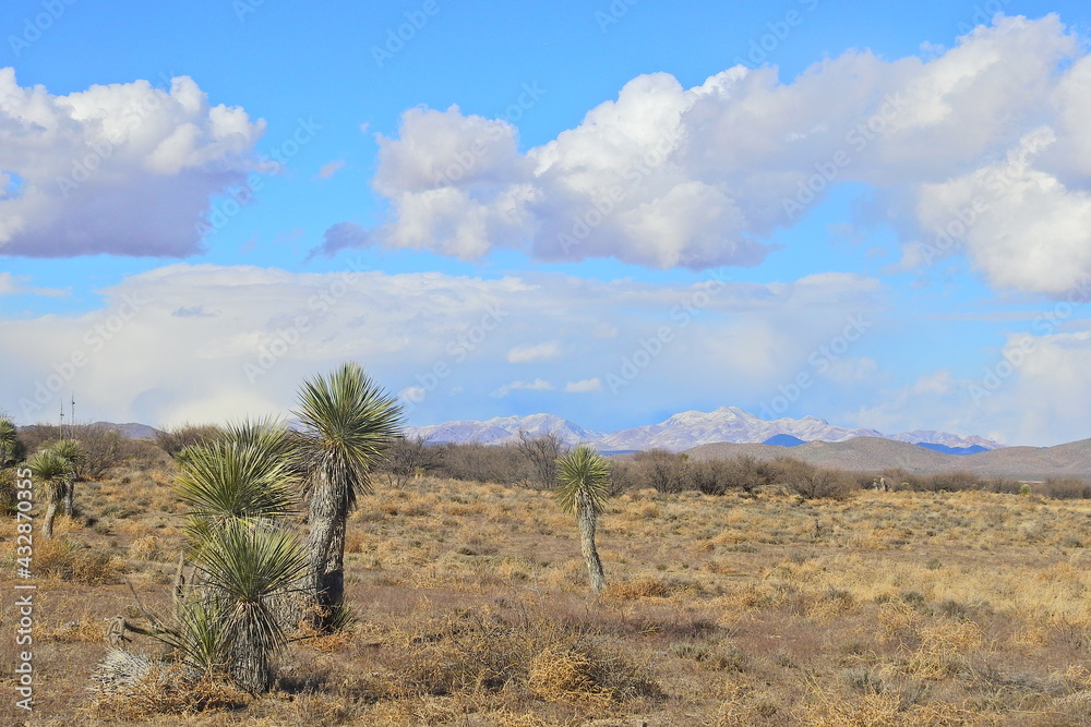 The beautiful scenery of the desert landscape in Cochise County, southeastern, Arizona.