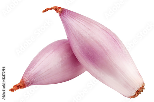 onion, shallot, isolated on white background, clipping path, full depth of field photo