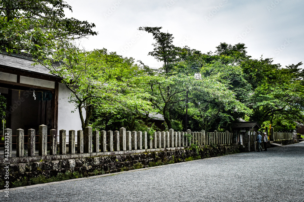 Fototapeta premium 阿蘇神社を参拝する