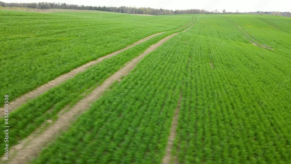 Poland Pieszkowo green fields view from the top angle of view, aerial drone, tractor rut traces on green grass field