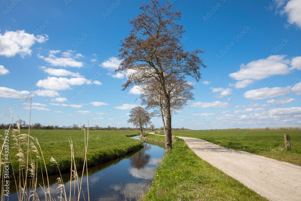 Dutch landscape with a small road / cycling path, along a canal boarded with trees with blue sky and clouds, province Groningen, the Netherlands Dutch landscape with a small road / cycling path, along a canal boarded with trees with blue sky and clouds, province Groningen, the Netherlands