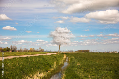 Surrealistic cloud tree, a tree which is growing clouds instead of leaves near a road in the Dutch countryside with cycling lane and a canal