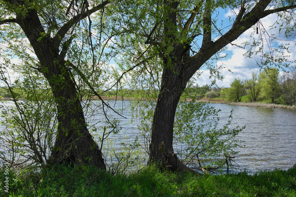Spring rural landscape, pond in village Spring rural landscape, pond in village