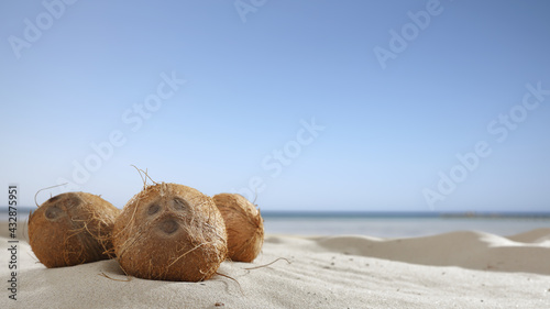 Summer background of coconuts and sea ladnscape  photo