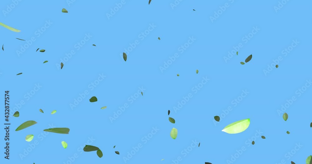 Animation with leaves falling over a solid blue background for easy keying and compositing. Animation with leaves falling over a solid blue background for easy keying and compositing.
